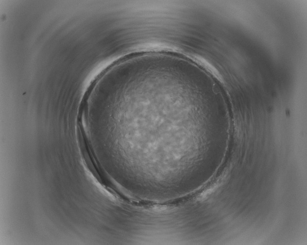 X0000070360839200606091029