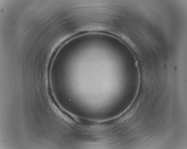 X0000070360840200606091029