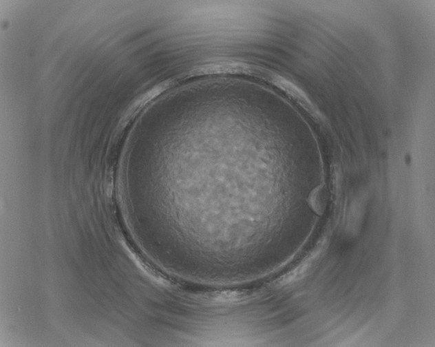 X0000070360841200606091029