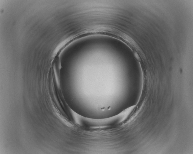 X0000070360842200606091029