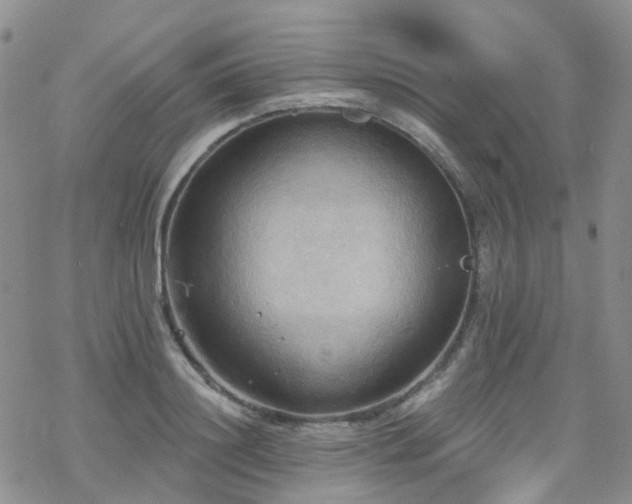 X0000070360844200606091029