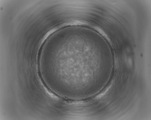 X0000070360845200606091029