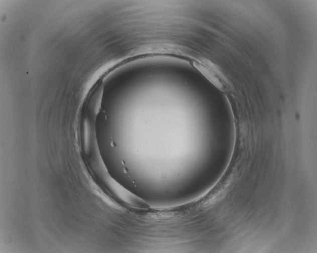 X0000070360846200606091029