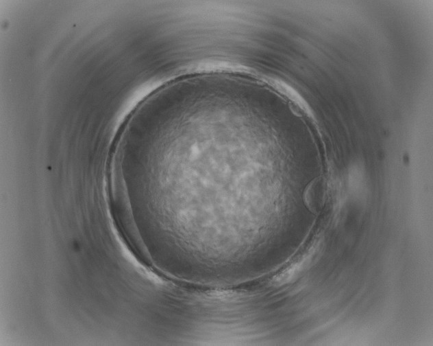 X0000070360847200606091029