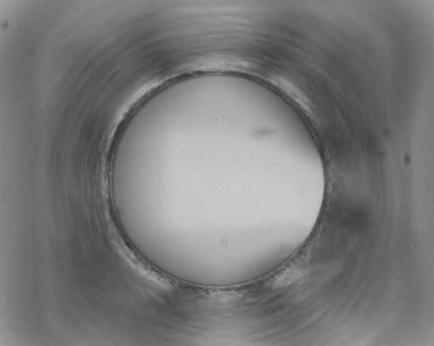 X0000070360848200606091030