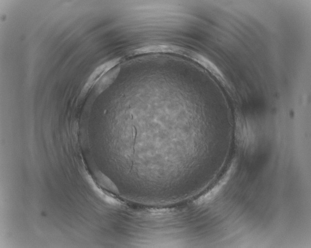 X0000070360849200606091030