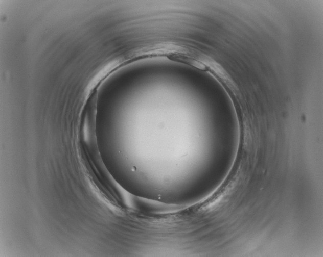 X0000070360850200606091030