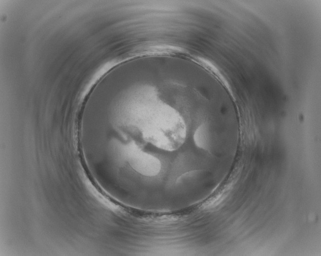 X0000070360851200606091030