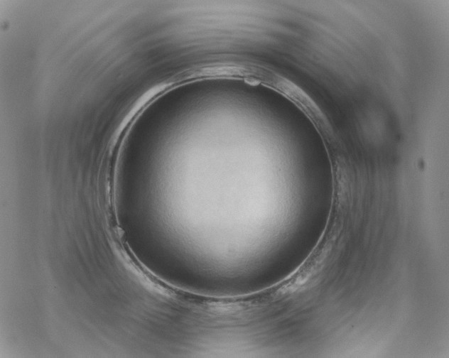 X0000070360852200606091030