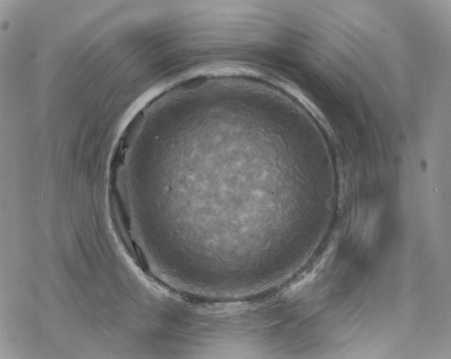 X0000070360853200606091030