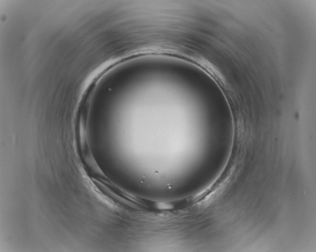 X0000070360854200606091030