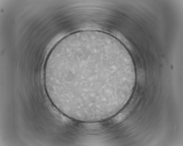 X0000070360856200606091030