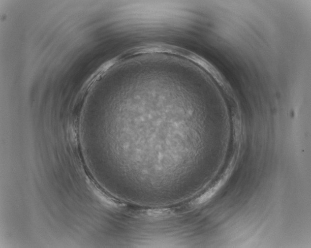 X0000070360857200606091030