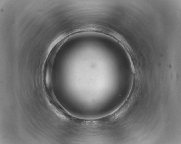 X0000070360858200606091030