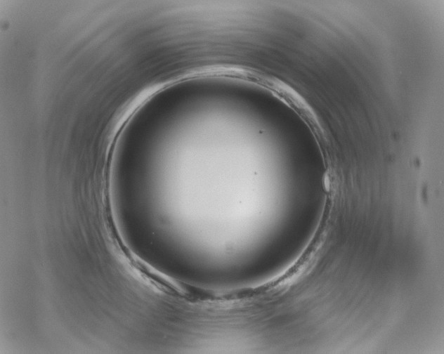 X0000070360860200606091030