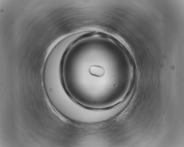 X0000070360862200606091030