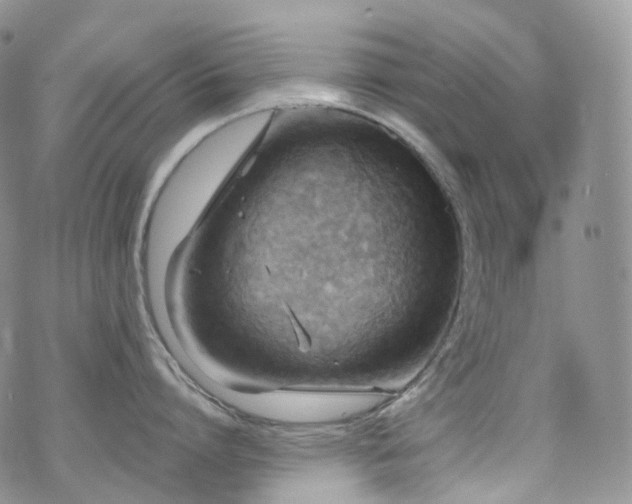 X0000070360864200606091030