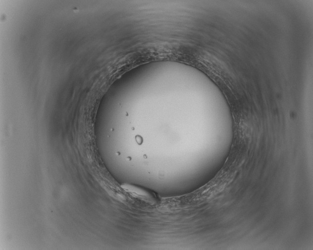 X0000070360865200606091029