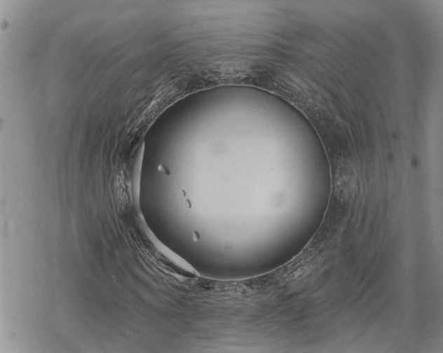 X0000070360866200606091029