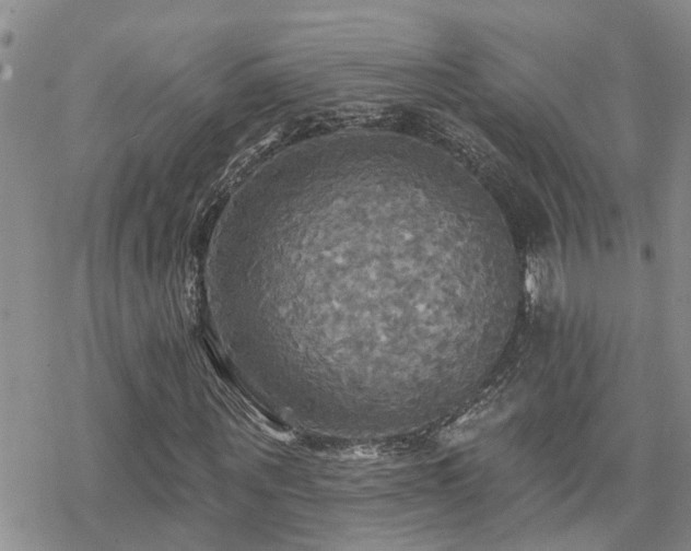 X0000070360867200606091029