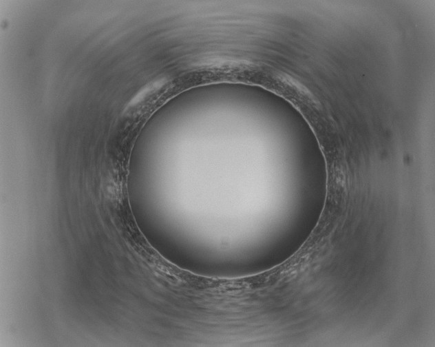 X0000070360869200606091029