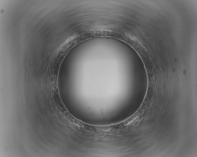 X0000070360870200606091029