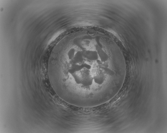 X0000070360871200606091029