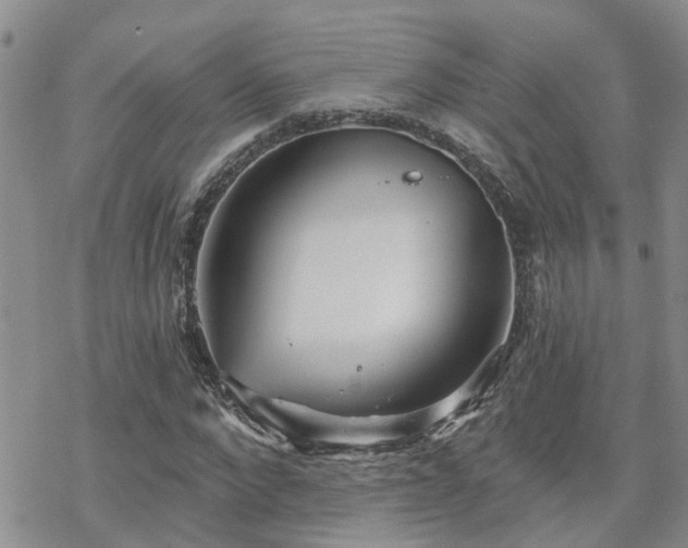 X0000070360872200606091029