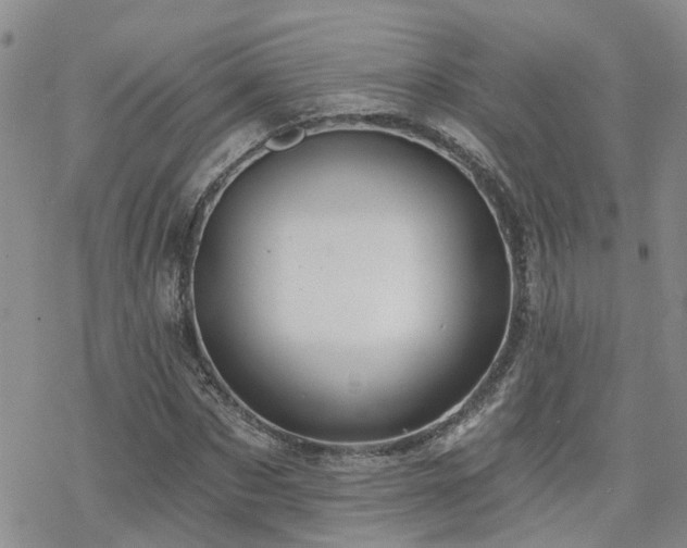 X0000070360873200606091029