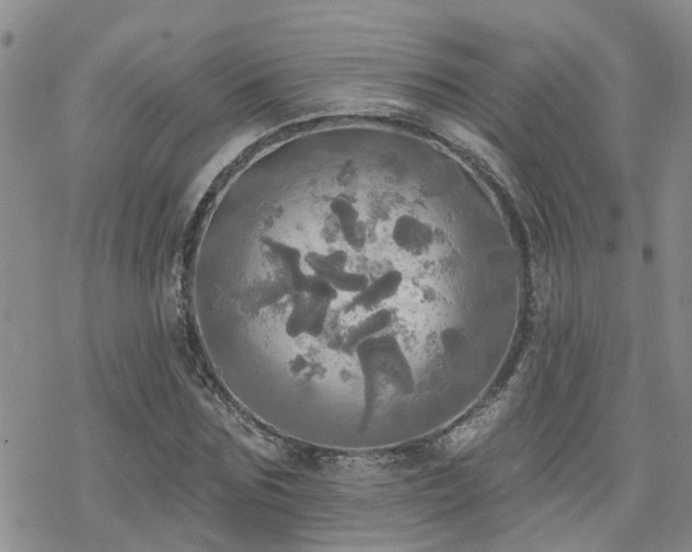 X0000070360875200606091029