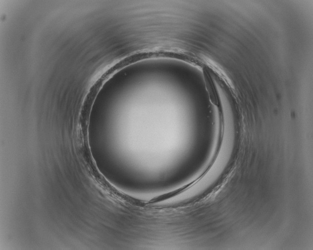 X0000070360876200606091029