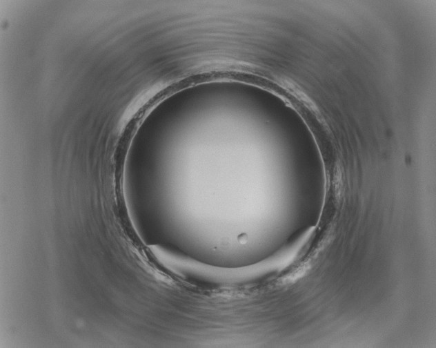 X0000070360877200606091029