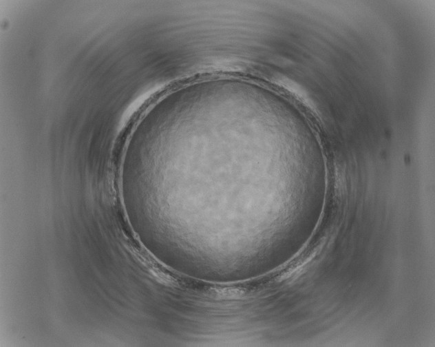 X0000070360878200606091029