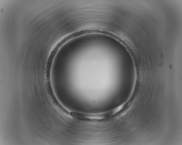 X0000070360880200606091029