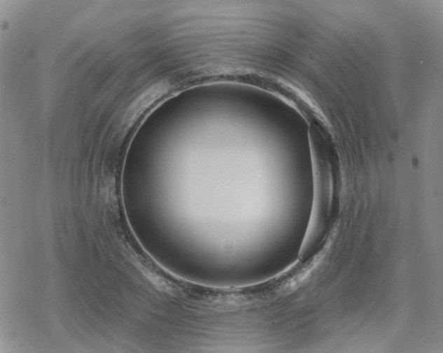 X0000070360881200606091029