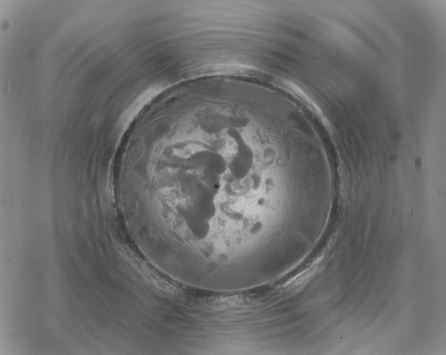 X0000070360883200606091029