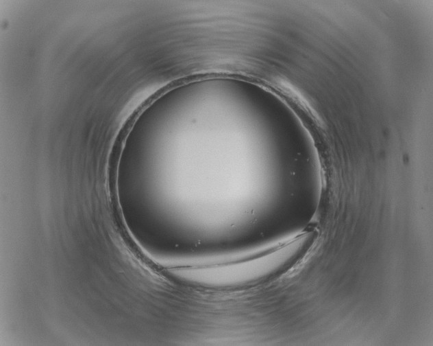 X0000070360884200606091029