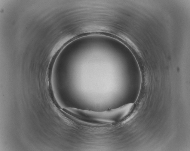 X0000070360885200606091029