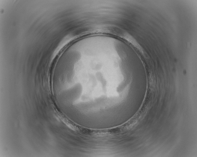 X0000070360886200606091029