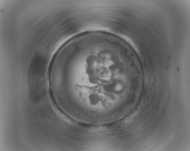 X0000070360887200606091029