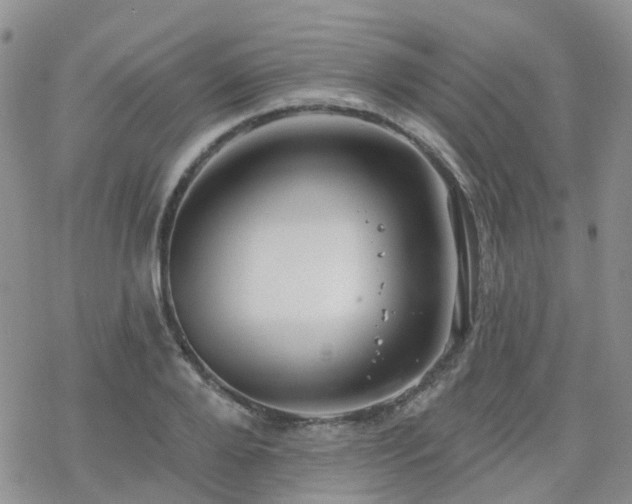 X0000070360888200606091029