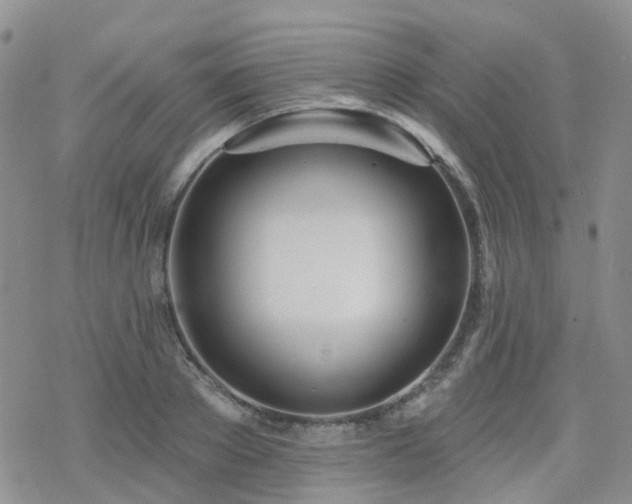 X0000070360889200606091029