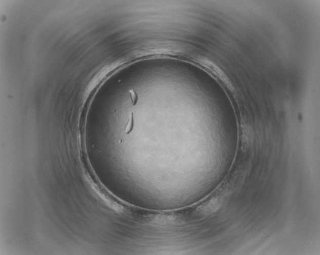 X0000070360890200606091029