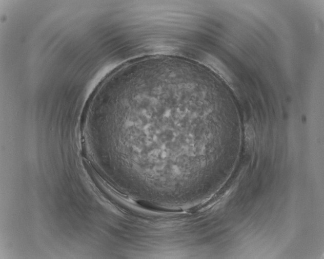 X0000070360891200606091029