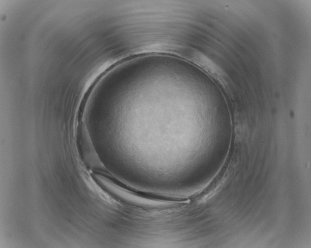 X0000070360892200606091029