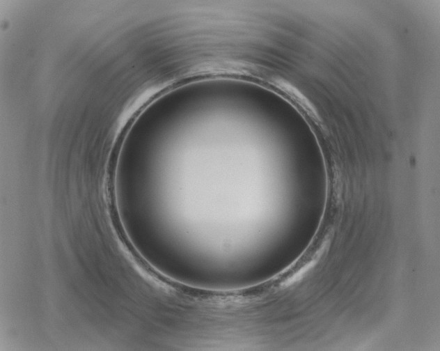 X0000070360893200606091029