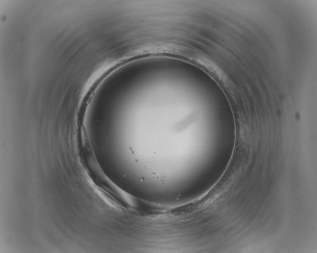 X0000070360894200606091029