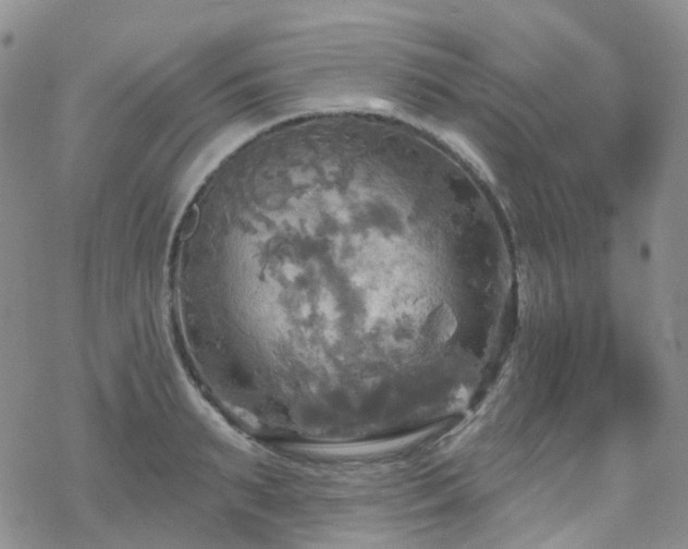 X0000070360895200606091029