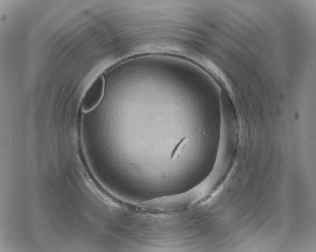 X0000070360896200606091028