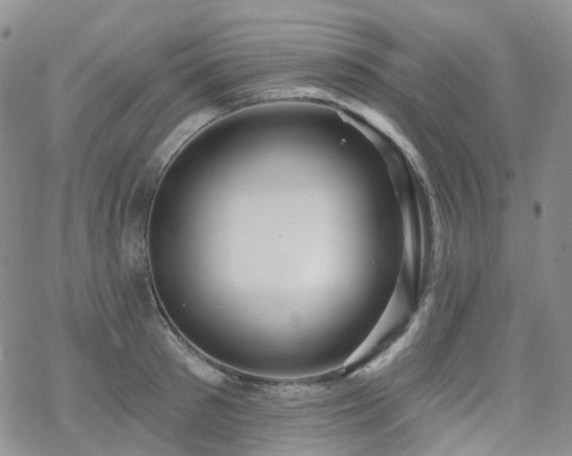 X0000070360897200606091028